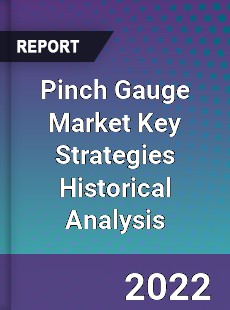 Pinch Gauge Market Key Strategies Historical Analysis