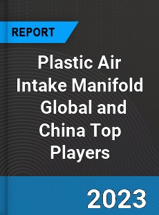 Plastic Air Intake Manifold Global and China Top Players Market