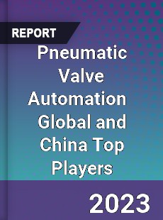 Pneumatic Valve Automation Global and China Top Players Market