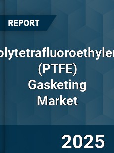 Polytetrafluoroethylene Gasketing