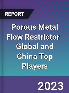 Porous Metal Flow Restrictor Global and China Top Players Market