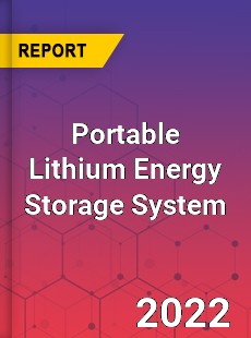 Portable Lithium Energy Storage System Market