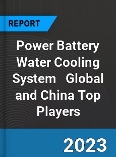 Power Battery Water Cooling System Global and China Top Players Market