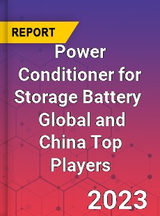 Power Conditioner for Storage Battery Global and China Top Players Market