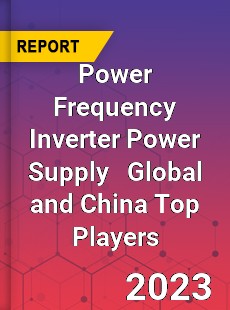 Power Frequency Inverter Power Supply Global and China Top Players Market