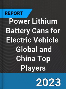 Power Lithium Battery Cans for Electric Vehicle Global and China Top Players Market