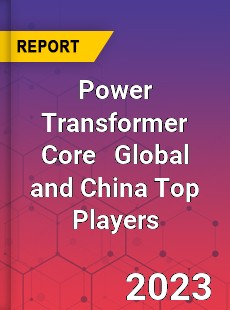 Power Transformer Core Global and China Top Players Market