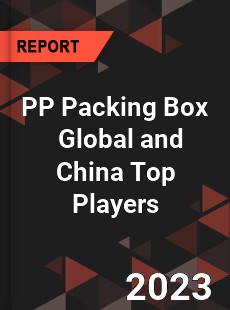 PP Packing Box Global and China Top Players Market