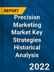 Precision Marketing Market Key Strategies Historical Analysis