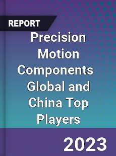 Precision Motion Components Global and China Top Players Market
