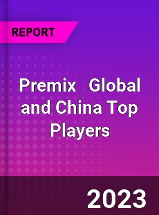 Premix Global and China Top Players Market