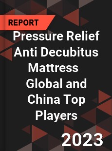 Pressure Relief Anti Decubitus Mattress Global and China Top Players Market