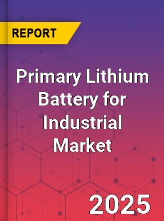 Primary Lithium Battery for Industrial Global and China Top Players Market