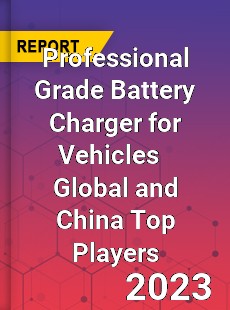 Professional Grade Battery Charger for Vehicles Global and China Top Players Market