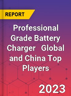 Professional Grade Battery Charger Global and China Top Players Market