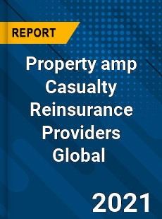 Property & Casualty Reinsurance Providers Market