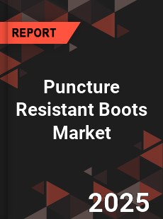 Puncture Resistant Boots Global and China Top Players Market