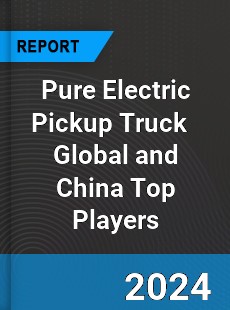 Pure Electric Pickup Truck Global and China Top Players Market
