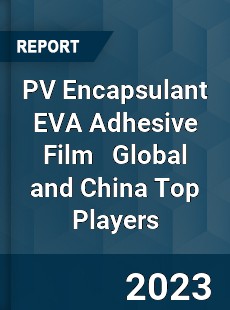 PV Encapsulant EVA Adhesive Film Global and China Top Players Market