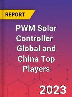 PWM Solar Controller Global and China Top Players Market