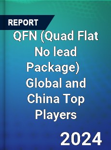 QFN Global and China Top Players Market