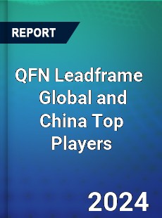 QFN Leadframe Global and China Top Players Market