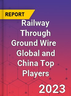 Railway Through Ground Wire Global and China Top Players Market