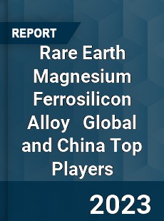 Rare Earth Magnesium Ferrosilicon Alloy Global and China Top Players Market