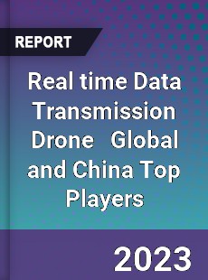 Real time Data Transmission Drone Global and China Top Players Market