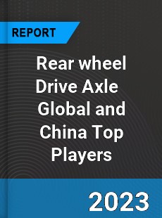 Rear wheel Drive Axle Global and China Top Players Market