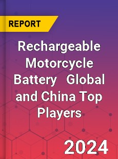 Rechargeable Motorcycle Battery Global and China Top Players Market