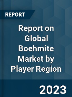 Report on Global Boehmite Market by Player Region