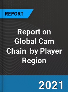 Report on Global Cam Chain Market by Player Region