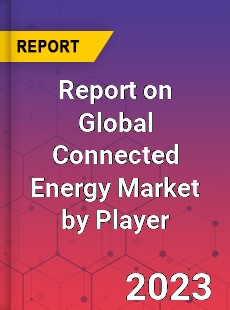 Report on Global Connected Energy Market by Player