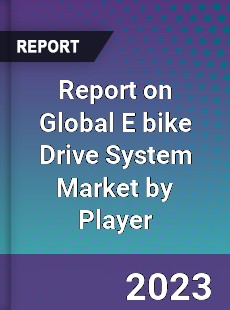 Report on Global E bike Drive System Market by Player