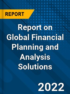Global Financial Planning and Analysis