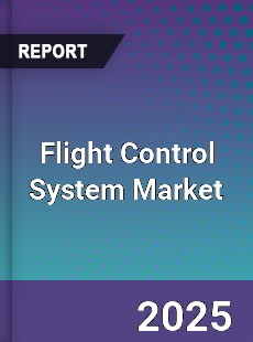 Report on Global Flight Control System Market by Player