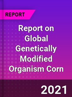 Genetically Modified Organism Corn Market