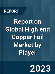 Report on Global High end Copper Foil Market by Player