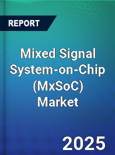 Report on Global Mixed Signal System on Chip