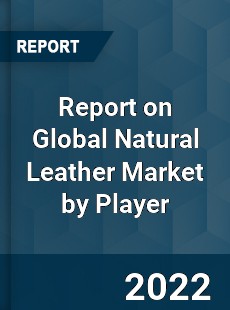 Report on Global Natural Leather Market by Player