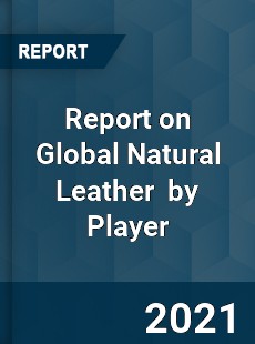 Report on Global Natural Leather Market by Player