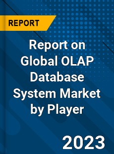 Report on Global OLAP Database System Market by Player