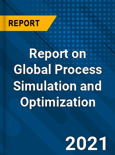 Report on Global Process Simulation and Optimization