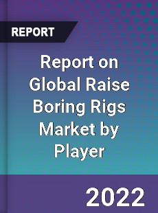 Report on Global Raise Boring Rigs Market by Player
