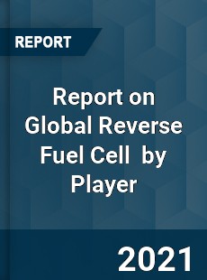 Report on Global Reverse Fuel Cell Market by Player