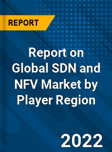 Report on Global SDN and NFV Market by Player Region
