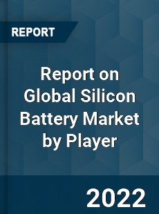 Report on Global Silicon Battery Market by Player