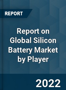 Global Silicon Battery Market