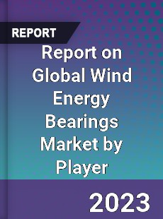 Report on Global Wind Energy Bearings Market by Player